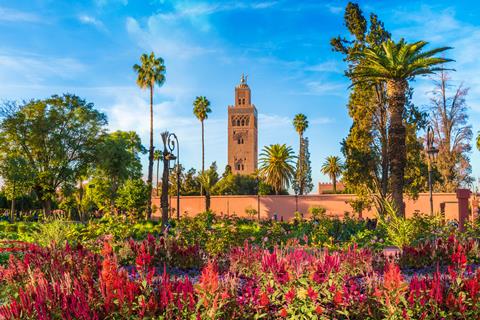 15-daagse rondreis Highlights van Marokko Top Merken Winkel